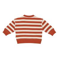 Baby_Boys_Sweater_Baked_Apple_Stripes_Rood_1